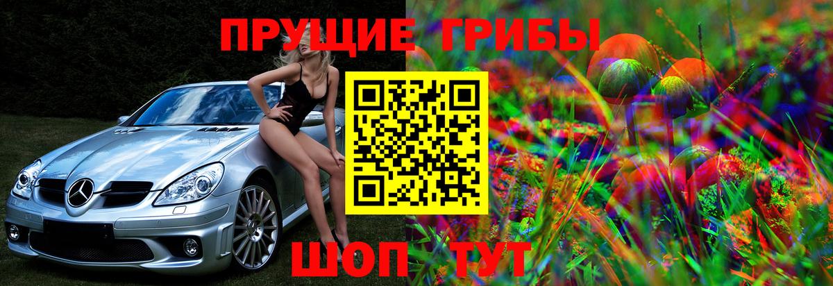 Сибай  Псилоцибиновые грибы мицелий  Галлюциногенные грибы GOLDEN TEACHER  Вход с VPN 